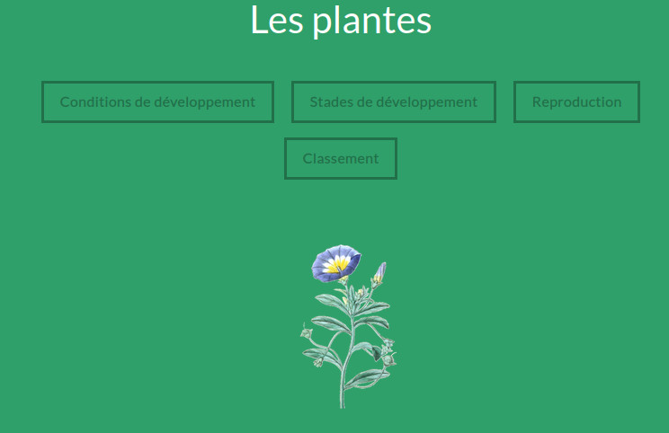 Les plantes